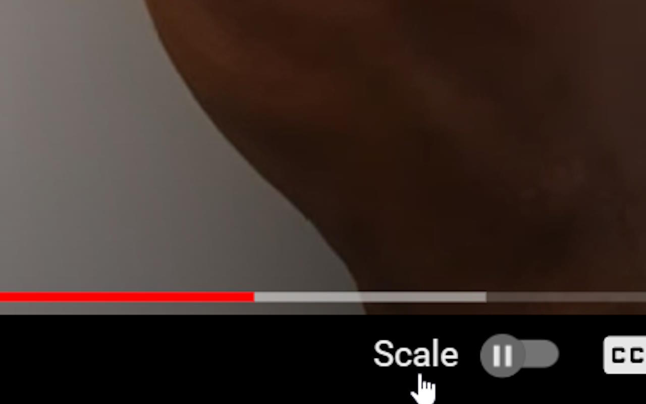A close-up from the original project screenshots shows the added Scale button beside YouTube's playback controls.